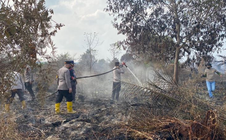 311 Hektare Hutan dan Lahan Terbakar di Inhu&nbsp;Riau