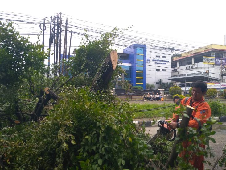 22 Kejadian Bencana Terjadi di Kota Bogor Akibat Hujan dan Angin Kencang, Satu Orang&nbsp;Terluka